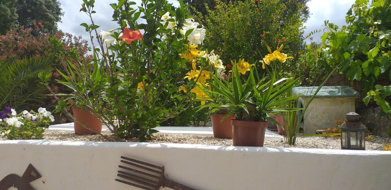 Casa Uldina Villa บอมบาร์ฮัล ภายนอก รูปภาพ